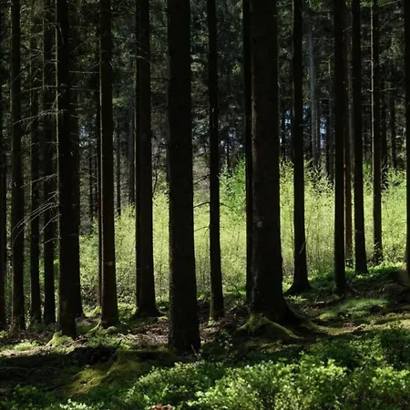 Comfy In With Sauna, Terrace, Bbq 펜션