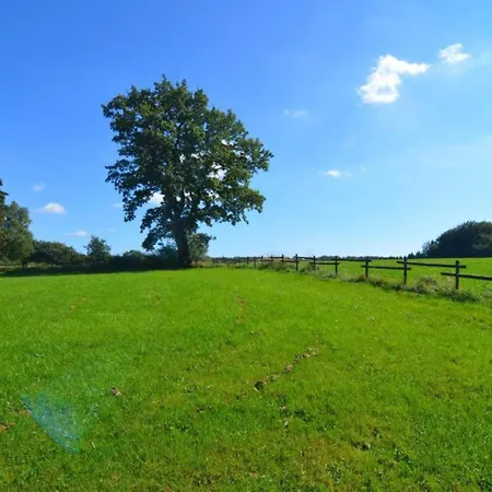 펜션 Comfy In With Sauna, Terrace, Bbq