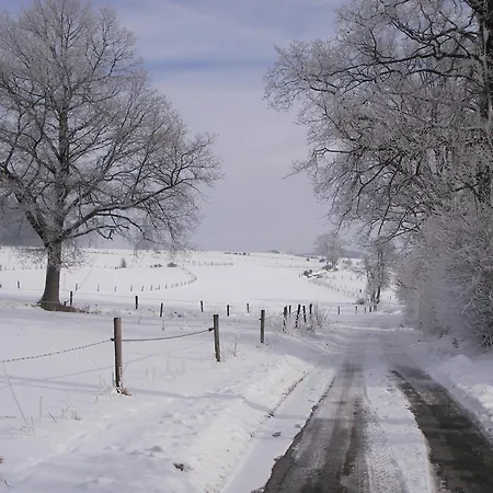 Comfy In With Sauna, Terrace, Bbq * 부르그로랜드