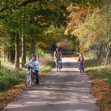 Comfy In With Sauna, Terrace, Bbq 펜션