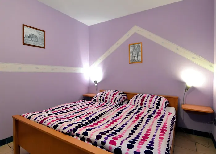 Comfy In With Sauna, Terrace, Bbq