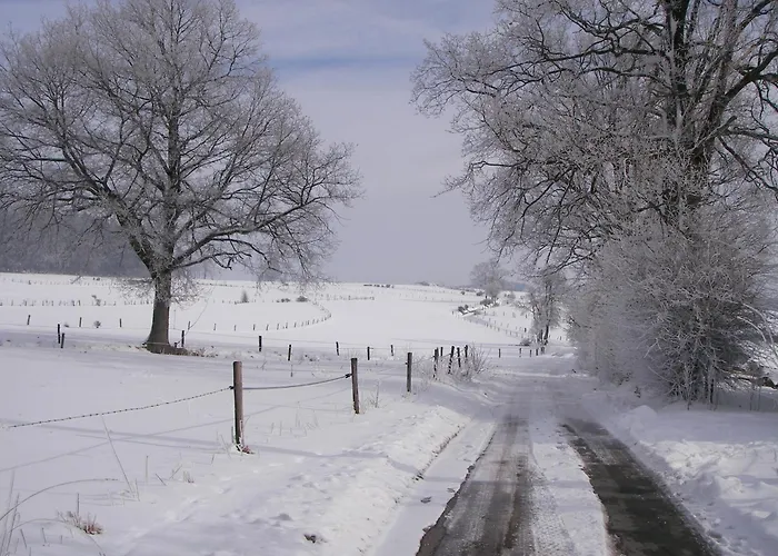 Comfy In With Sauna, Terrace, Bbq * Burg Reuland